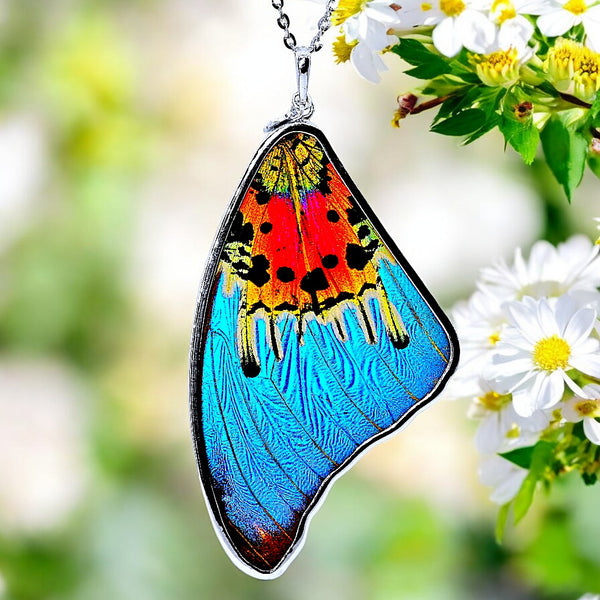 Butterfly Large Wing Necklace